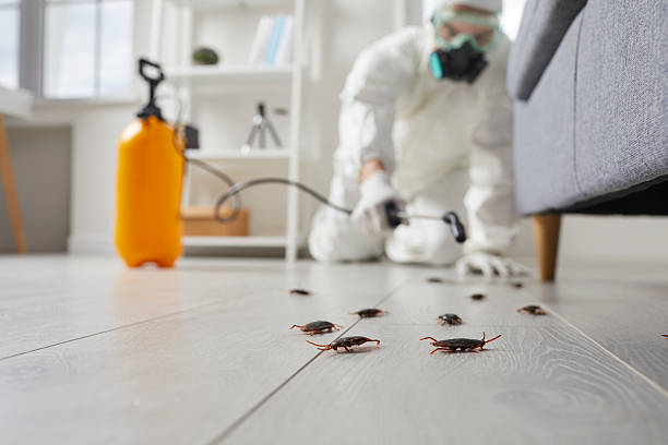 Trusted Cockroach Control service in Brook Park, OH - Nex Pest Control